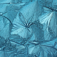 Buy canvas prints of Frost pattern of ice flowers on window by Bernd Tschakert