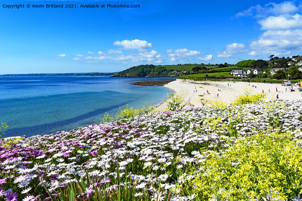 Gyllyngvase beach Falmouth Picture Board by Kevin Britland