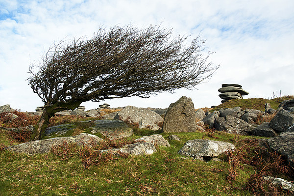 Bodmin Moor, Cornwall, UK Picture Board by Kevin Britland