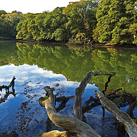 Buy canvas prints of frenchmans creek cornwall by Kevin Britland