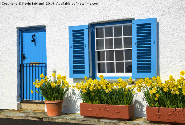 daffodil cottage Picture Board by Kevin Britland