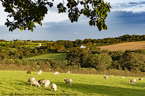 cornish countryside Picture Board by Kevin Britland