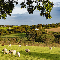 Buy canvas prints of cornish countryside by Kevin Britland