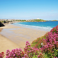 Buy canvas prints of tolcarne beach newquay by Kevin Britland
