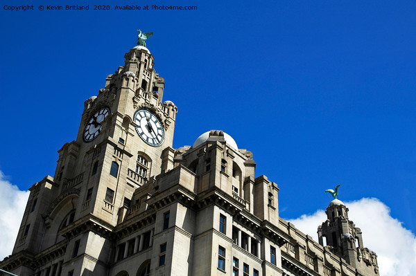 Roayl liver building liverpool Picture Board by Kevin Britland