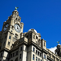 Buy canvas prints of Roayl liver building liverpool by Kevin Britland