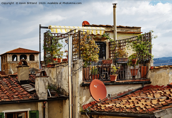  rooftop garden  florence italy Picture Board by Kevin Britland