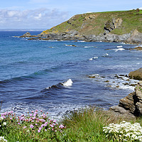 Buy canvas prints of Dollar cove Cornwall by Kevin Britland