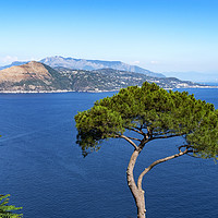 Buy canvas prints of The view from capri by Kevin Britland