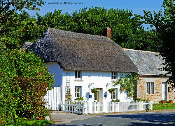 Pretty thatched cottage Picture Board by Kevin Britland
