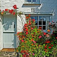 Buy canvas prints of Roses round the door by Kevin Britland