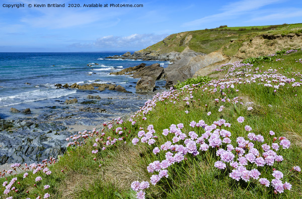 springtime on the cornish coast Picture Board by Kevin Britland