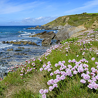 Buy canvas prints of springtime on the cornish coast by Kevin Britland