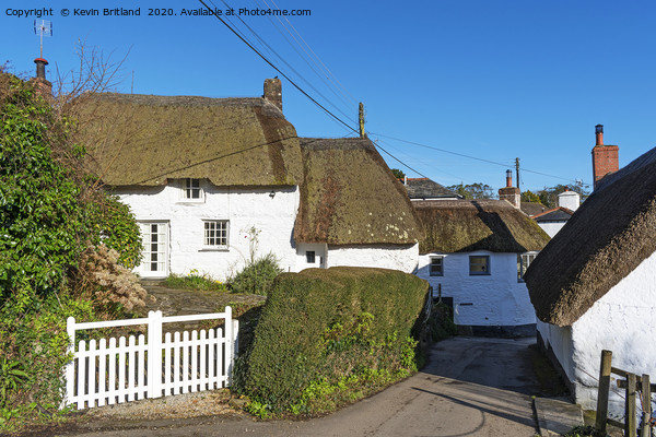 Thatched roof cottages Picture Board by Kevin Britland