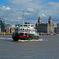 Buy canvas prints of mersey ferry snowdrop by Kevin Britland