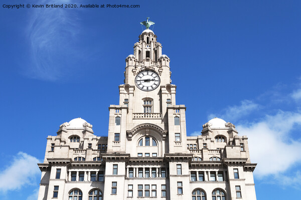 Royal Liver building liverpool Picture Board by Kevin Britland