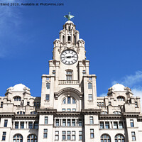 Buy canvas prints of Royal Liver building liverpool by Kevin Britland