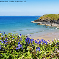 Buy canvas prints of poldhu cove cornwall by Kevin Britland