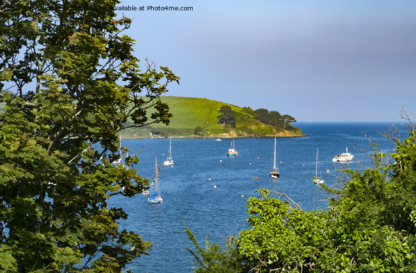The mouth of the helford river in cornwall Picture Board by Kevin Britland