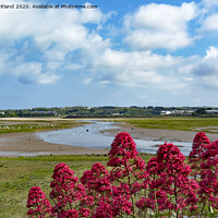 Buy canvas prints of hayle estuary cornwall by Kevin Britland