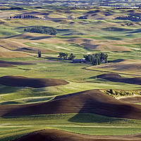 Buy canvas prints of The Palouse landscape in Washington State by Luc Novovitch