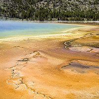 Buy canvas prints of Yellowstone Geyser Basin by Luc Novovitch