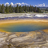 Buy canvas prints of Yellowstone Geyser Basin by Luc Novovitch