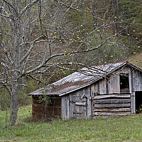 Buy canvas prints of Tennessee Old Barn by Luc Novovitch