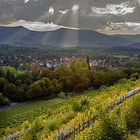 Buy canvas prints of Alsace Vineyards before Sunset by Luc Novovitch