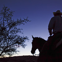 Buy canvas prints of Cowboy on horse at daybreak by Luc Novovitch