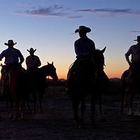 Buy canvas prints of Cowboys at sunrise by Luc Novovitch