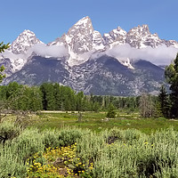Buy canvas prints of Wyoming Grand Teton National Park by Luc Novovitch