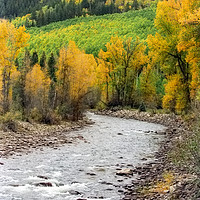 Buy canvas prints of Colorado San Juan River in Autumn by Luc Novovitch