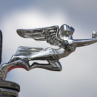 Buy canvas prints of Vintage Ford Car Radiator Cap Ornament by Luc Novovitch