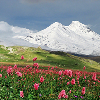 Buy canvas prints of Switzerland mountains on spring time by Daniel Kesh