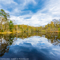 Buy canvas prints of Fishpool at Gracious Pond, Chobham Common by Graham Prentice