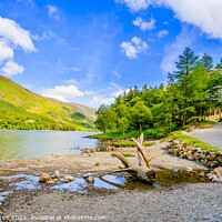 Buy canvas prints of Buttermere Panorama With Driftwood by Graham Prentice