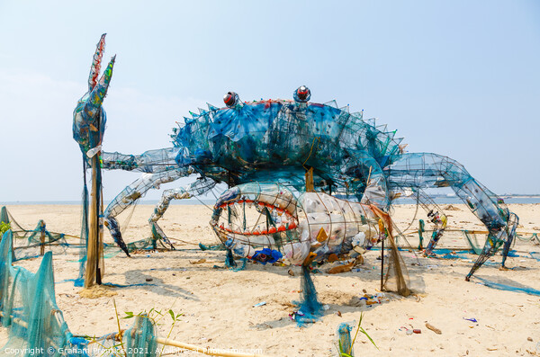 Mad Crab, Cochin Picture Board by Graham Prentice