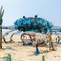 Buy canvas prints of Mad Crab, Cochin by Graham Prentice