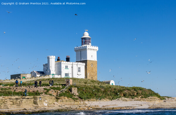 Coquet Lighthouse, Amble, Northumberland Picture Board by Graham Prentice