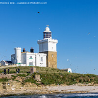 Buy canvas prints of Coquet Lighthouse, Amble, Northumberland by Graham Prentice