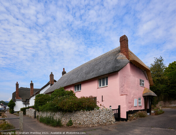 Otterton Pink Thatched Cottage, Devon Picture Board by Graham Prentice
