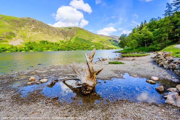 Buttermere Panorama With Driftwood Picture Board by Graham Prentice