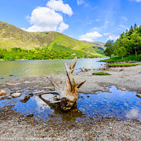 Buy canvas prints of Buttermere Panorama With Driftwood by Graham Prentice
