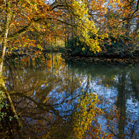Buy canvas prints of Reflections of Autumn Foliage by Graham Prentice