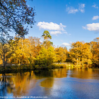 Buy canvas prints of Lake in Autumn on a Sunny Day by Graham Prentice