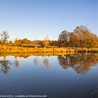 Buy canvas prints of Leg of Mutton Pond in Richmond Park by Graham Prentice