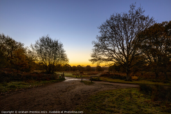 Richmond Park Sunrise Picture Board by Graham Prentice