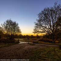 Buy canvas prints of Richmond Park Sunrise by Graham Prentice