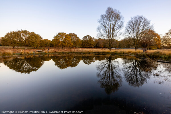 Richmond Park Morning Picture Board by Graham Prentice